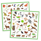 160 uzlīmes – Fauna