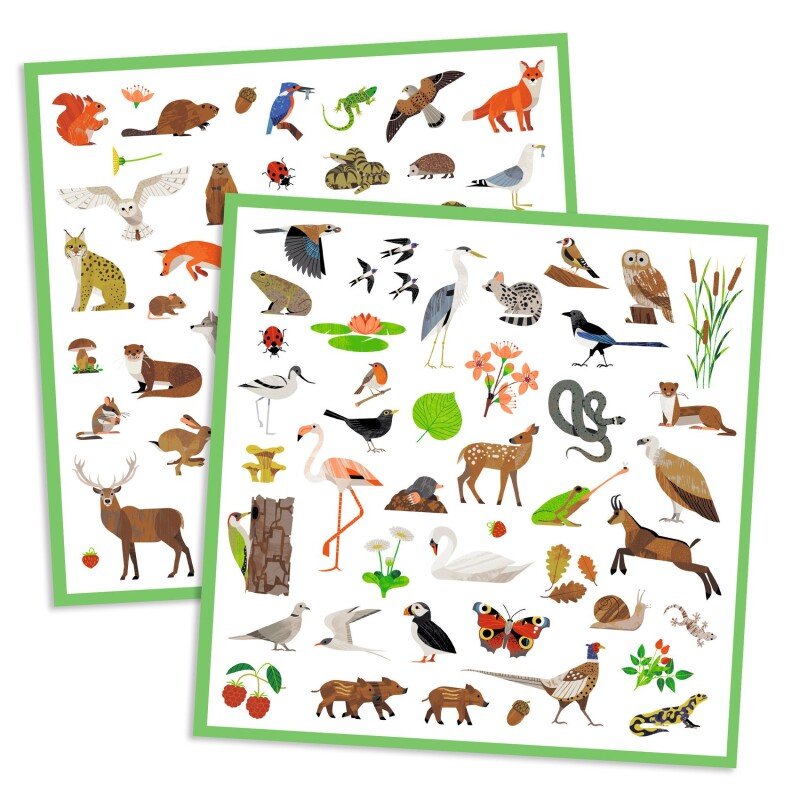 160 uzlīmes – Fauna