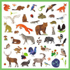 160 uzlīmes – Fauna
