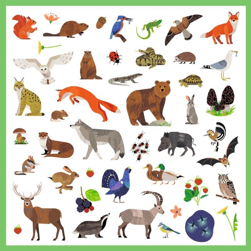 160 uzlīmes – Fauna