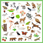 160 uzlīmes – Fauna