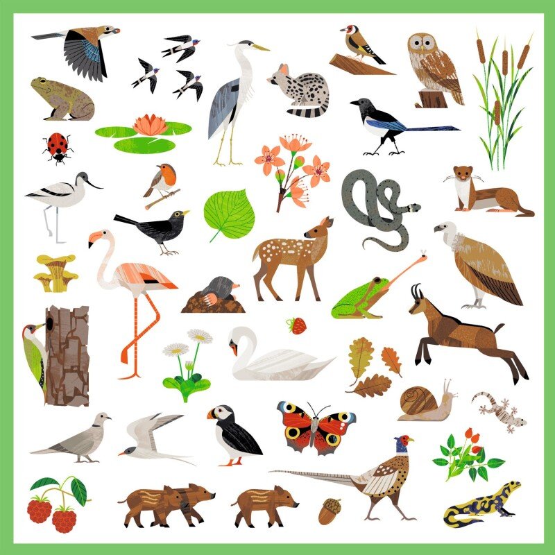 160 uzlīmes – Fauna